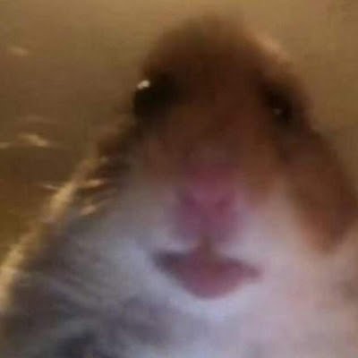 wtf1_frank's profile picture. 