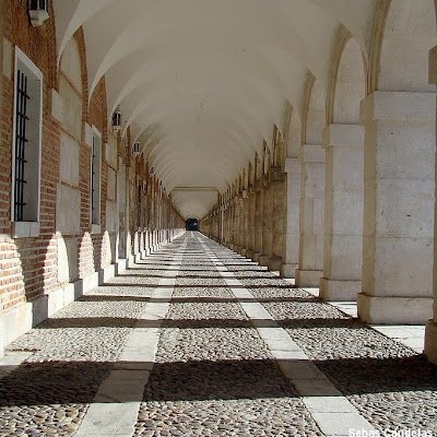 Federicopalma09's profile picture. Ser alegre