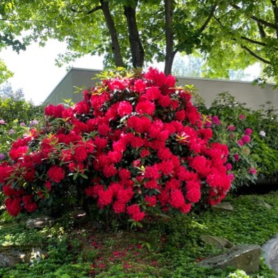 maryewarren's profile picture. Leftist activist & grandma