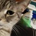 Director PuRRS - Sissy in heaven ๐ญ๐ (@purrsrescue) Twitter profile photo Director PuRRS - Sissy in heaven ๐ญ๐ (@purrsrescue) Twitter profile photo
