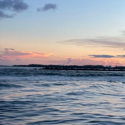 TordjmanMeir's profile picture. 