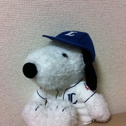 jamkun770's profile picture. はじめまして。西武ライオンズ応援歴41年⚾️離発着時の飛行機を見るのが好き✈️愛鳥♡JAL(ボタンインコ)🌈 CoCoa(ノーマル オカメ) 🌈KiKi(ルチノー オカメ ♀)🌈CuCu ルチノー オカメ ♂)Reo(シロハラ♂)BLA2級・愛玩動物飼養管理士2級