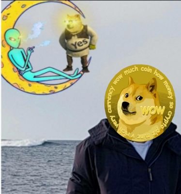Spaceman which love meme, enjoying in good fun. Like to hangout with #dogearmy #dogefamily and make some #dogecoin meme. Im not financial advisor🐶🚀🚀🚀