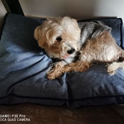 Miranda11083's profile picture. 