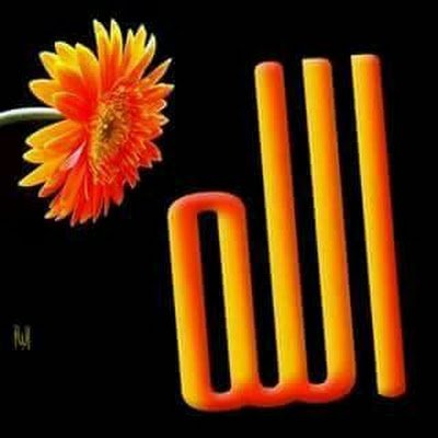 BayoumiSoher's profile picture. 