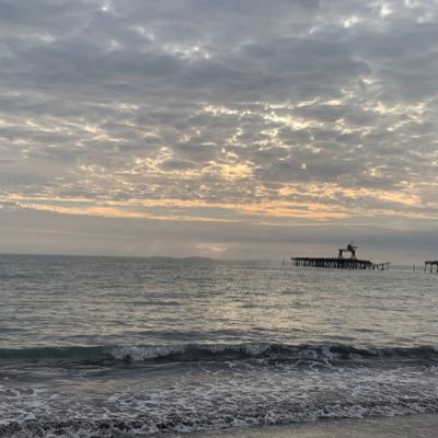 Dara96750455's profile picture. ⭐️