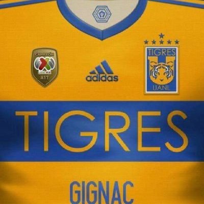 SOY DE TIGRES