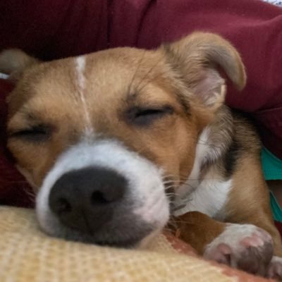 Nerealafeaa's profile picture. 