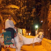 Kamal Sakr (@kamal_sakr) 's Twitter Profile