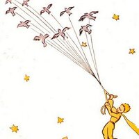 Astrid Thews (@asteroid1985) 's Twitter Profile