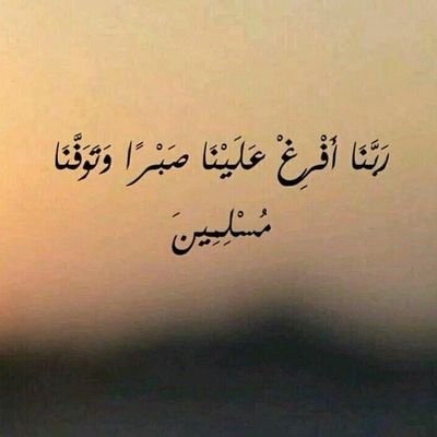 حَتَّىٰ إِذَا اسْتَيْأَسَ الرُّسُلُ وَظَنُّوا أَنَّهُمْ قَدْ كُذِبُوا جَاءَهُمْ نَصْرُنَا فَنُجِّيَ مَنْ نَشَاءُ ۖ وَلَا يُرَدُّ بَأْسُنَا