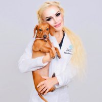 Dr.Galyna Khrushch(@galynakhrushch) 's Twitter Profile Photo