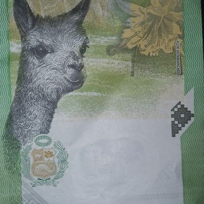 peruvian_check's profile picture. Sólo se vera nuestra postura :)