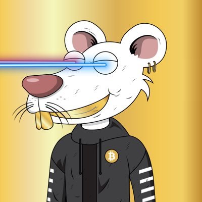 Scurrying the streets of NYC for that #cheese 🧀 #bitcoin | NFT Collector & 🧀 connoisseur #ETH #NFCheese🧀