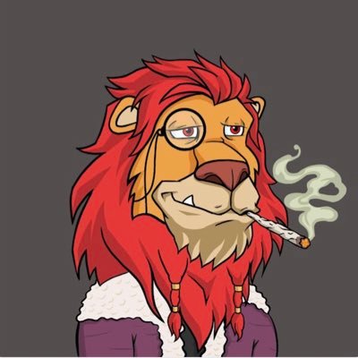 alexjcimaroli2's profile picture. 🦁