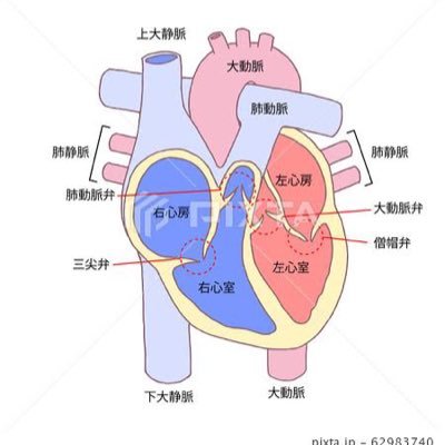 ゲーム実況見るために生きてるようなもんやな Twitterやらん過ぎて使い方わかんね     /とりあえず見る専じゃ