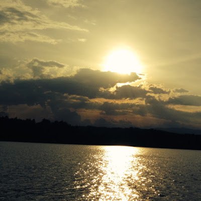 GeraldW34363467's profile picture. 