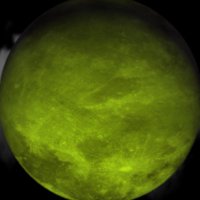 The RENAIXNX® Project (@renaixnx) 's Twitter Profile