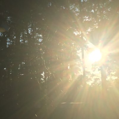 Alisha22Gen2815's profile picture. 