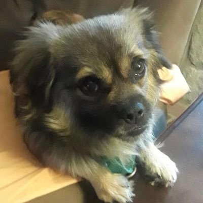 stueve1der's profile picture. 