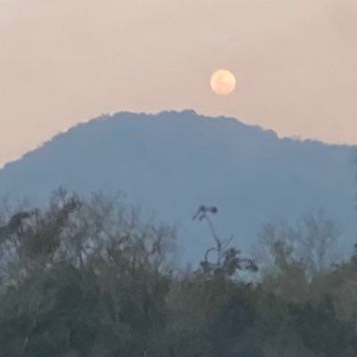 designstyle__'s profile picture. 