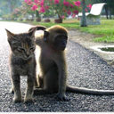 Tim Howley - @BaxterBuckley22 - Twitter