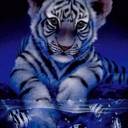 DARIUS POWE - @cripbo - Twitter