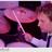 TomDrummer's profile image