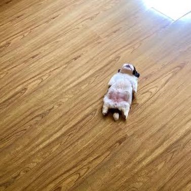 weeping_cowboy's profile picture. aspiring freelance bank robber