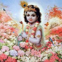 Bhanumati Solanki (@bhanumatisolnki) 's Twitter Profile