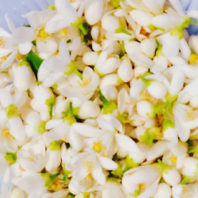 herb_nagomi56's profile picture. アロマサロン☆アロマ＆ハーブ教室☆心理カウンセリング☆
／公認心理師、人文学修士／AEAJ認定アロマテラピーインストラクター／JAMHA認定ハーバルセラピスト、日本のハーブセラピスト／アロマセラピスト／ＴＣマスターカラーセラピスト／ストレスチェック実施者／Aromatherapy-Salon“NAGOMI”代表