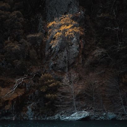 A1987ll's profile picture. 