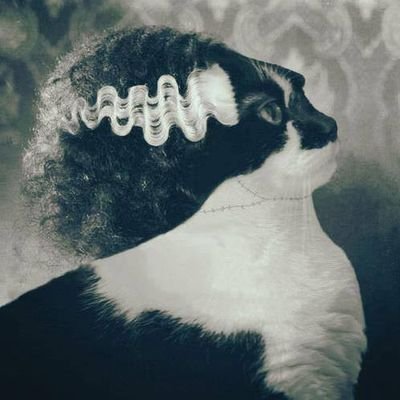 Mom | Ⓥ Lover of animals😻| #UBI https://t.co/MAtMQcoBTZ | $cinderandbruno #BLACKLIVESMATTER