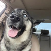 keenz (@kencebedo) 's Twitter Profile