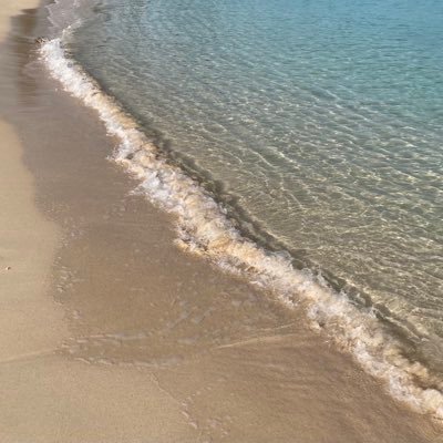 NKSH4858's profile picture. エンジニア3年目！