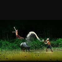 Mạnh Hoàng (@hoang5897) 's Twitter Profile