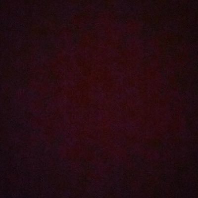 _znltt's profile picture. 🪱