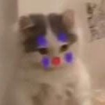 MathAnxiety502's profile picture. 