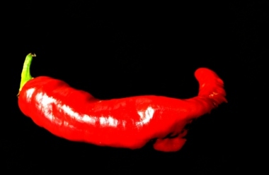 flaggiard's profile picture. Idee, pensieri su fotografia, politica, ricette, ecologia e tante altre sorprese....