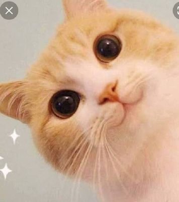 rainbow428963's profile picture. มีความสุขอย่างง่ายๆ😊