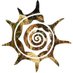 State Darwin Museum (@darwinmuseum) Twitter profile photo State Darwin Museum (@darwinmuseum) Twitter profile photo