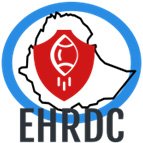 Ethiopian Human Rights Defenders Center 

(Voice of HRDs)