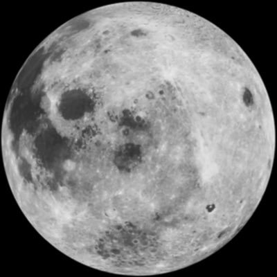 bennybarbs's profile picture. d i s c o