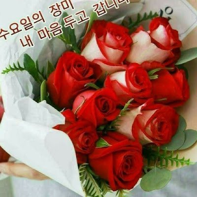 sTgfESDmTjw5Q43's profile picture. 