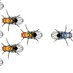 Linneweber Lab (@linneweberlab) Twitter profile photo Linneweber Lab (@linneweberlab) Twitter profile photo