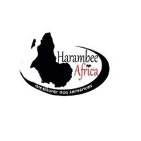 HARAMBEE AFRICA(@harambee_africa) 's Twitter Profile Photo