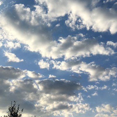 renci49716151's profile picture. 