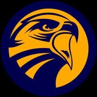 The Falcons eSports™ (@thefalconsgg) 's Twitter Profile