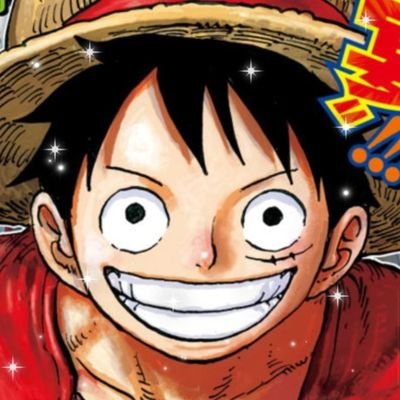 俺は、海賊王になる！