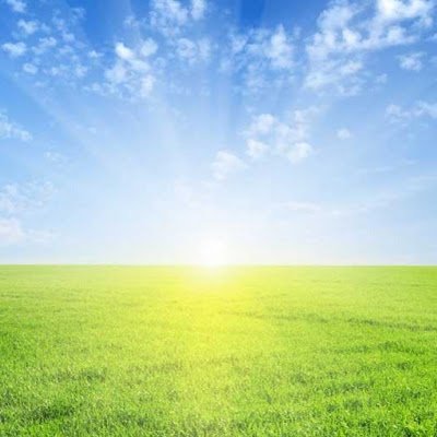 middlemind99's profile picture. 